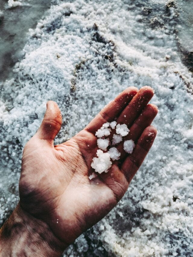 What Is Epsom Salt & How To Use On Plants