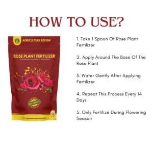 how-to-use-rose-plant-fertilizer