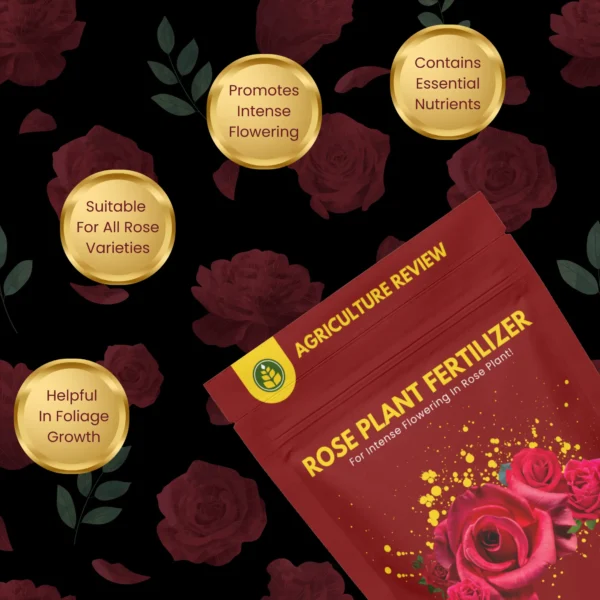 rose-plant-fertilizer-benefits