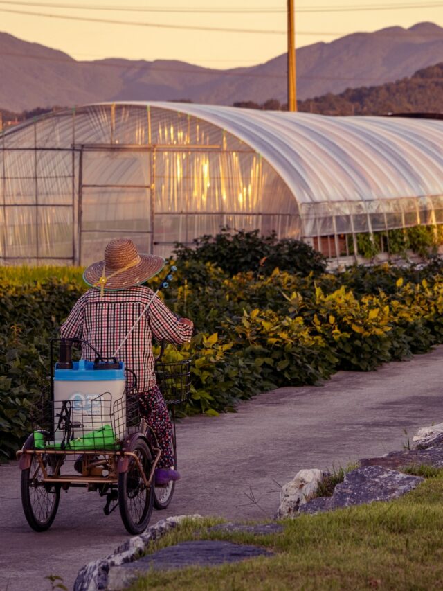 how-climate-change-is-related-to-agricultural-revolution