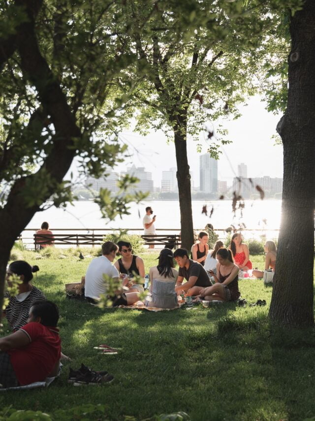 what-do-people-do-in-the-park