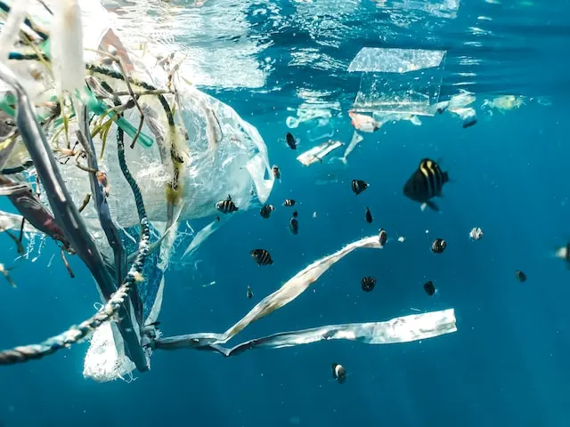 best plastic pollution