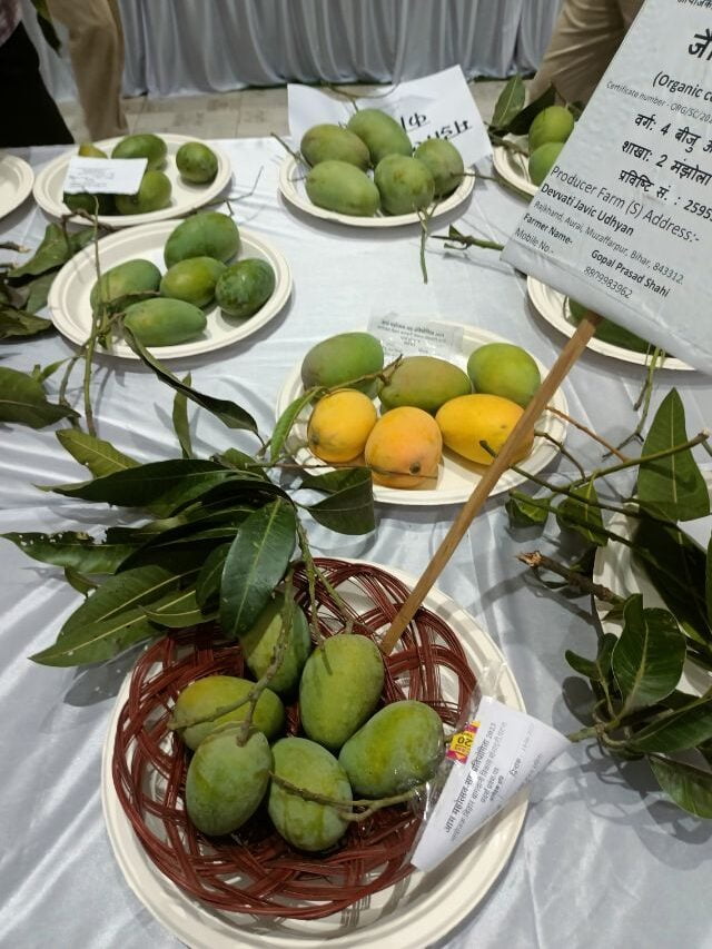 mango-festival-bihar-2023