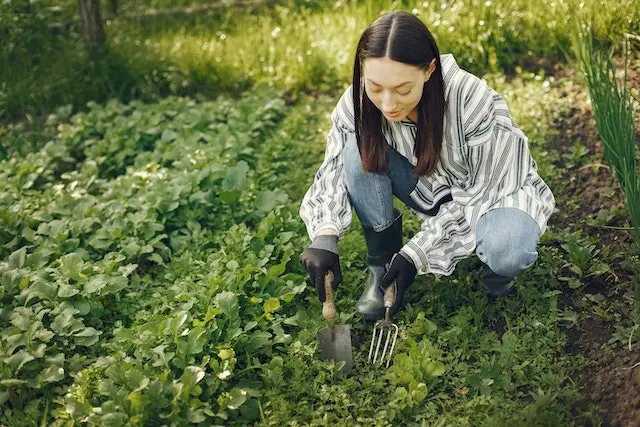 national gardening week united states