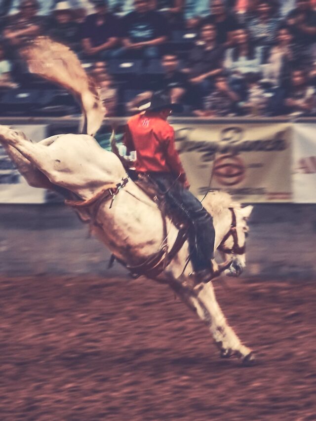 moco-agricultural-fair