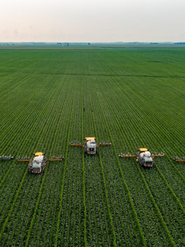 the-adverse-effect-of-modern-agriculture-is