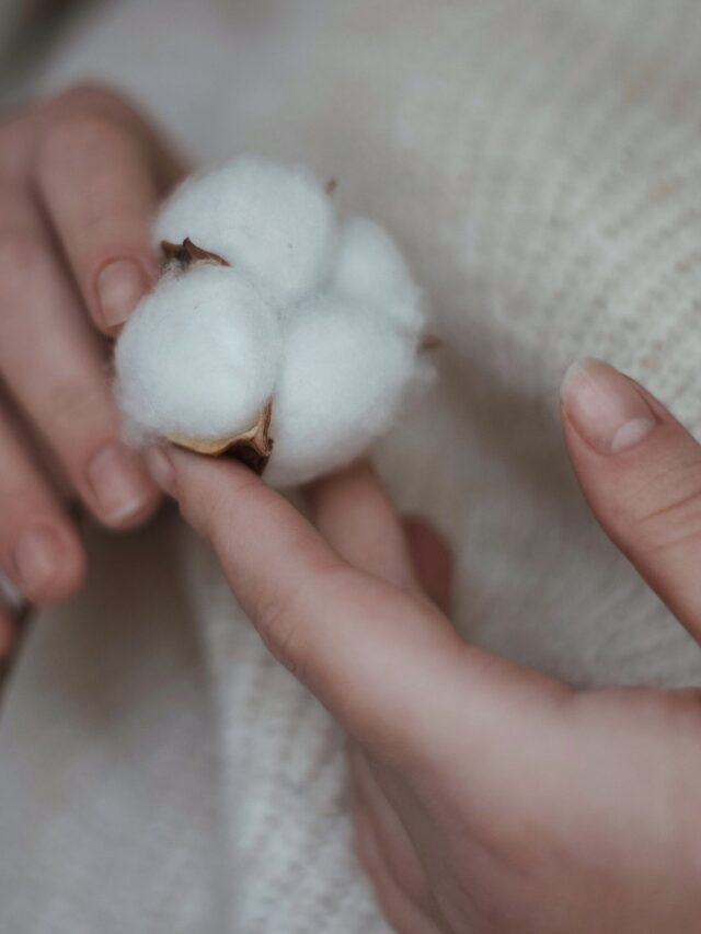 top-10-cotton-producing-states-in-the-united-states