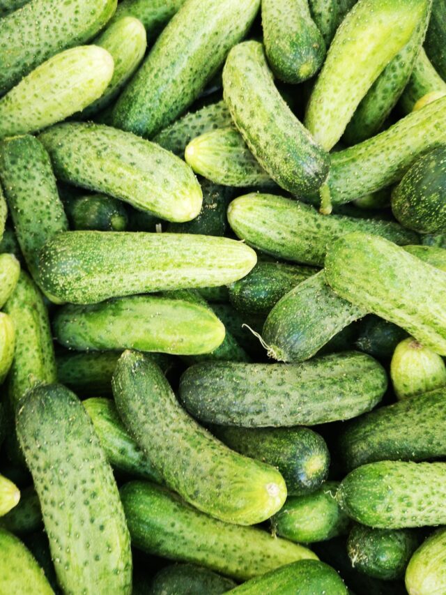 top-10-cucumber-producing-states-in-india