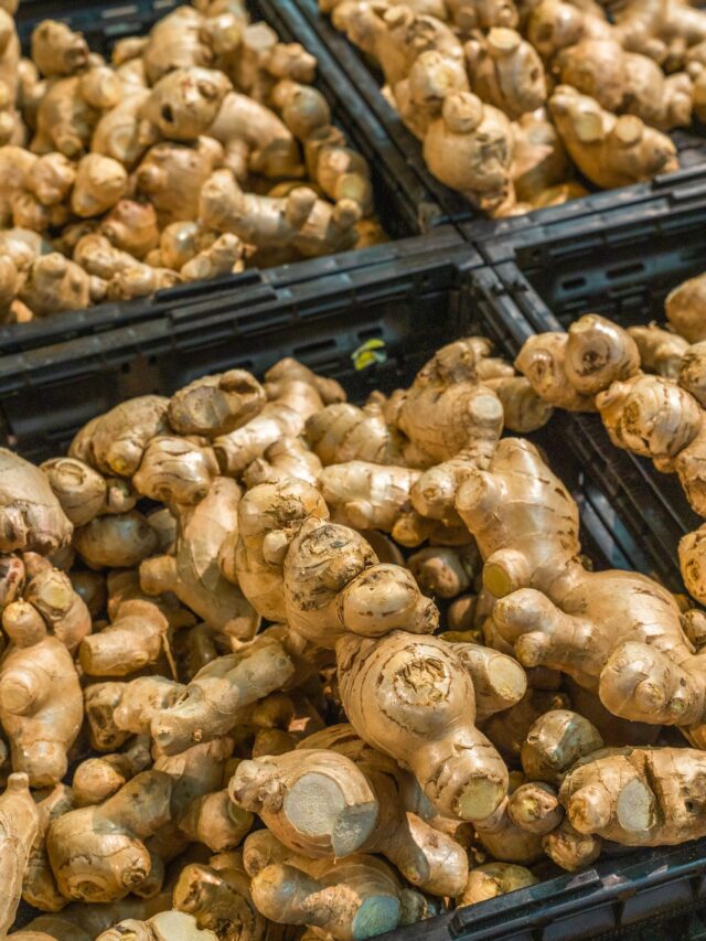 top-10-ginger-producing-states-in-india