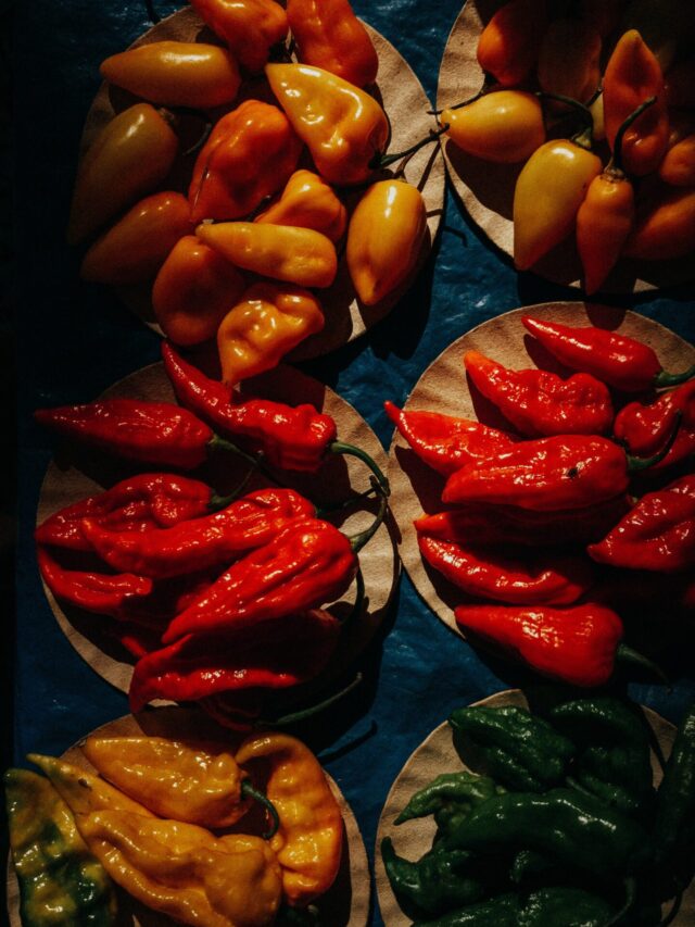 top-chilli-producing-states-in-india