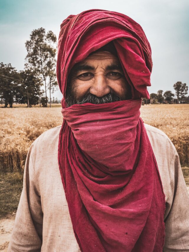 what-factors-played-a-role-in-the-origins-of-agriculture