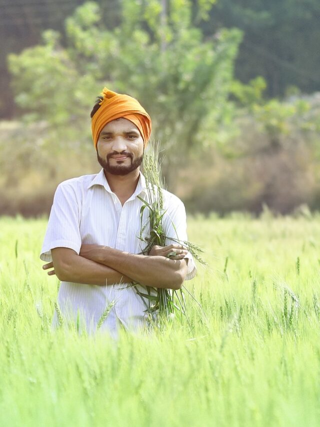 whats-the-role-of-agriculture-in-indian-economy