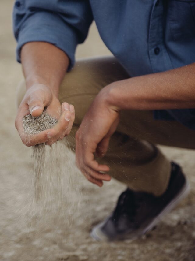 which-is-the-best-soil-for-agriculture-in-the-world