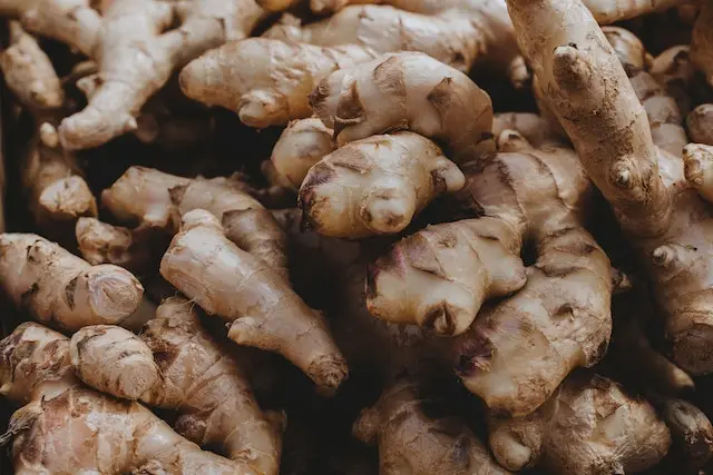 ginger-cultivation