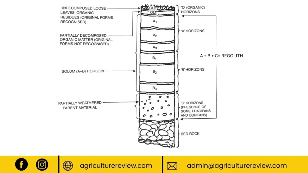 soil-profile-diagram