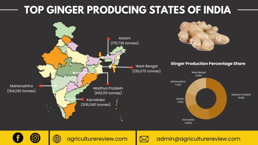 top-ginger-producing-states-in-India