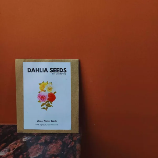 agriculture-review-dahlia-seeds-for-sale