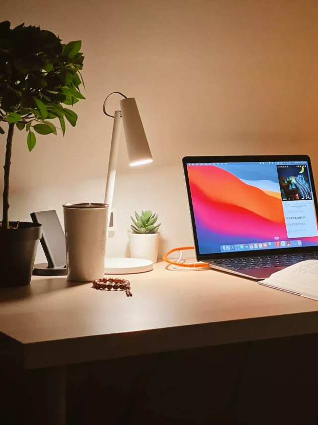 10-best-plants-for-your-study-room