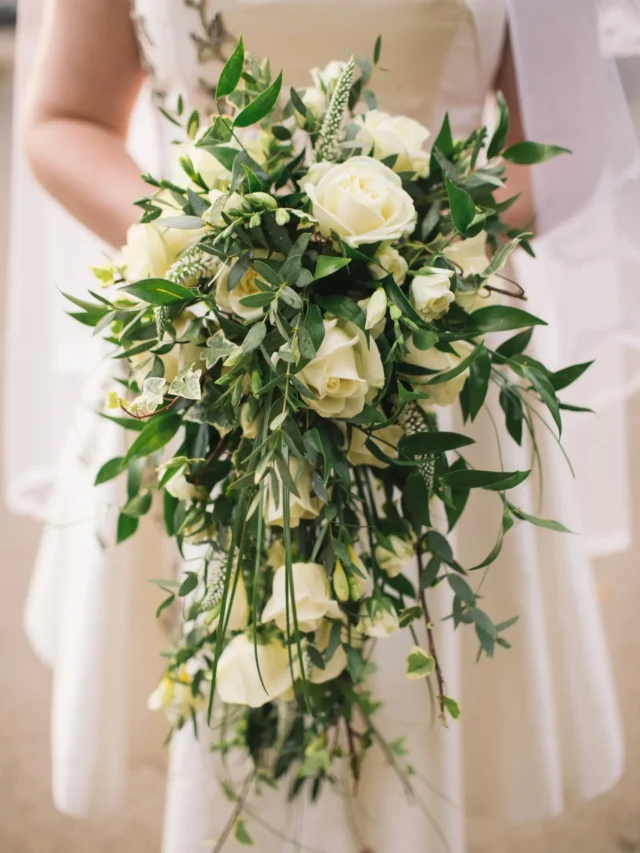 farmers-can-increase-income-by-doing-value-addition-in-roses