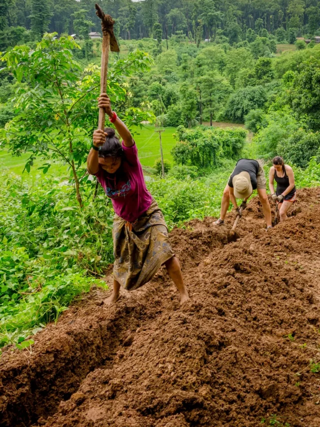 ladang-agriculture-is-practiced-in-which-country