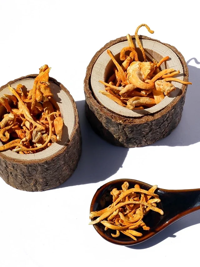 top-10-benefits-of-cordyceps-militaris