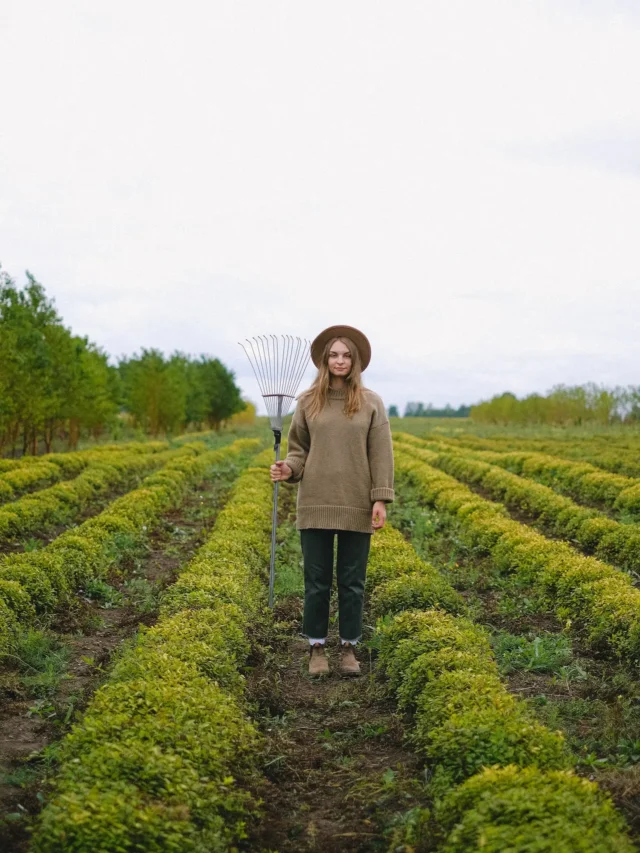 what-is-national-ffa-organization-of-united-states