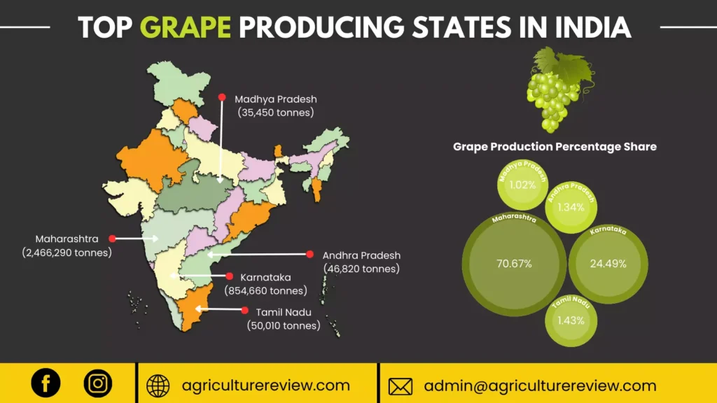 grape-producing-states-in-india