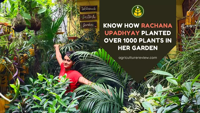 Rachana Upadhyay, Famous As “Patlu Ka Garden” Planted Over 1000 Plants