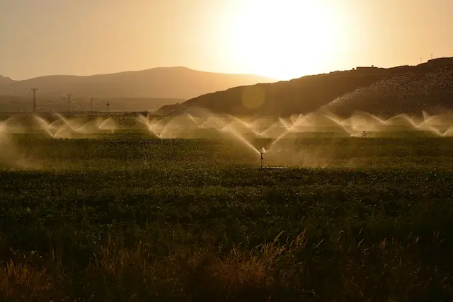 sprinkler-irrigation-in-lawn