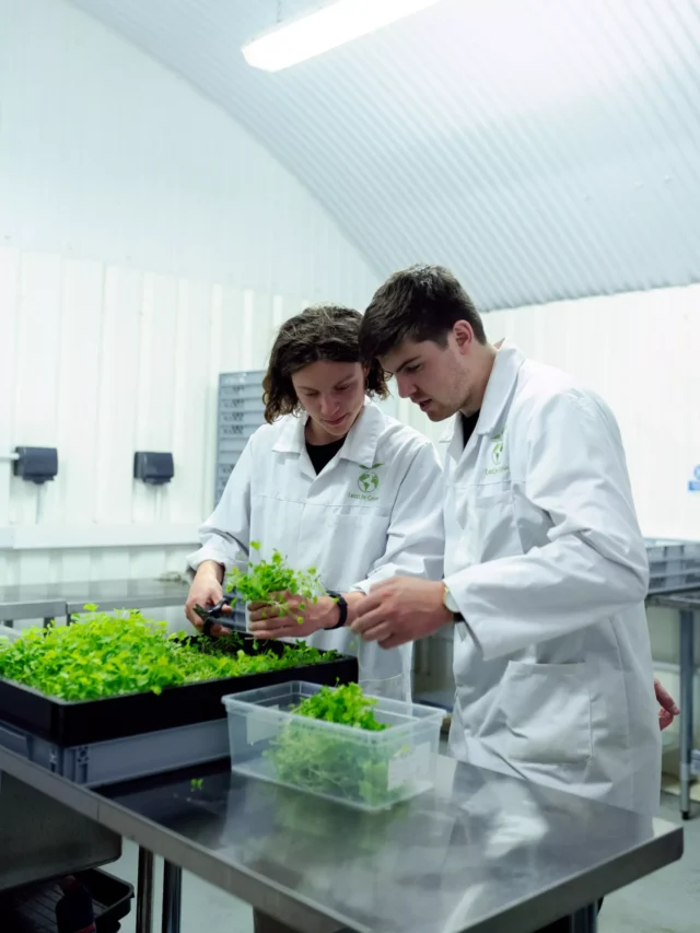 10-government-agriculture-training-centers-in-india