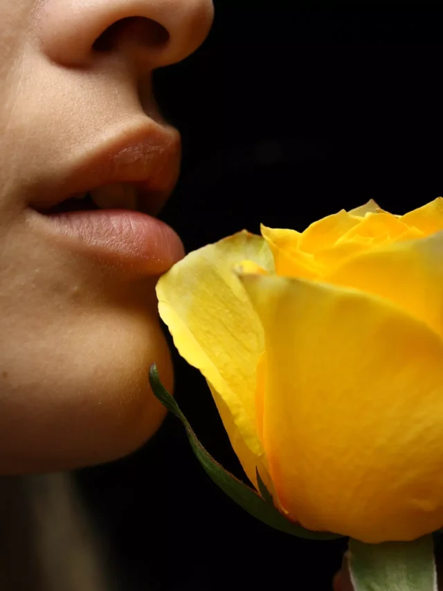 10-most-beautiful-plants-with-yellow-flowers