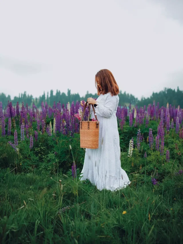 top-10-lupines-producing-countries-in-the-world