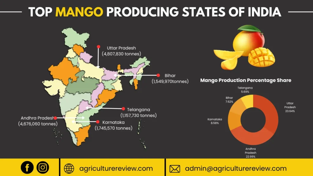mango-producing-states-in-india