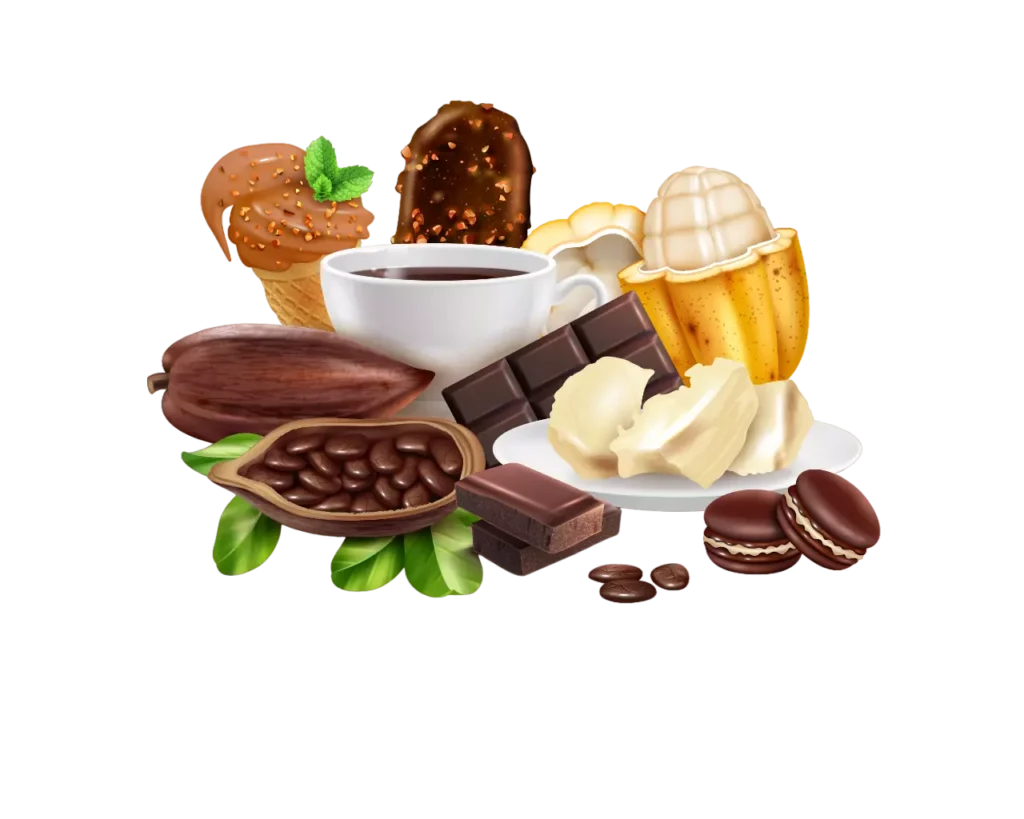 products-of-cocoa