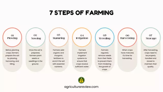 7-steps-of-farming-with-pictures