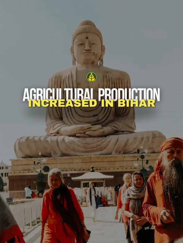 agricultural-production-in-bihar-has-increased-in-the-last-15-years
