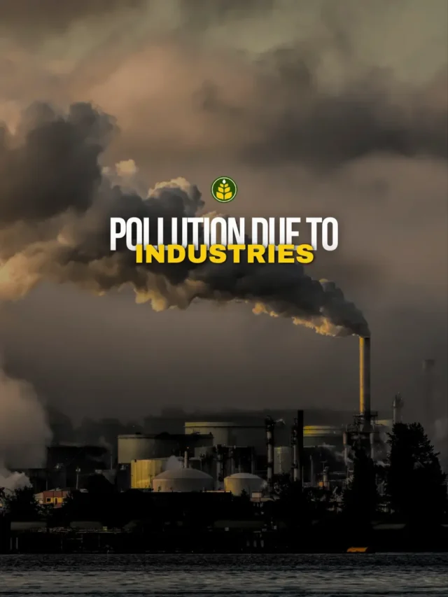 how-do-industries-pollute-the-environment-agriculture-review