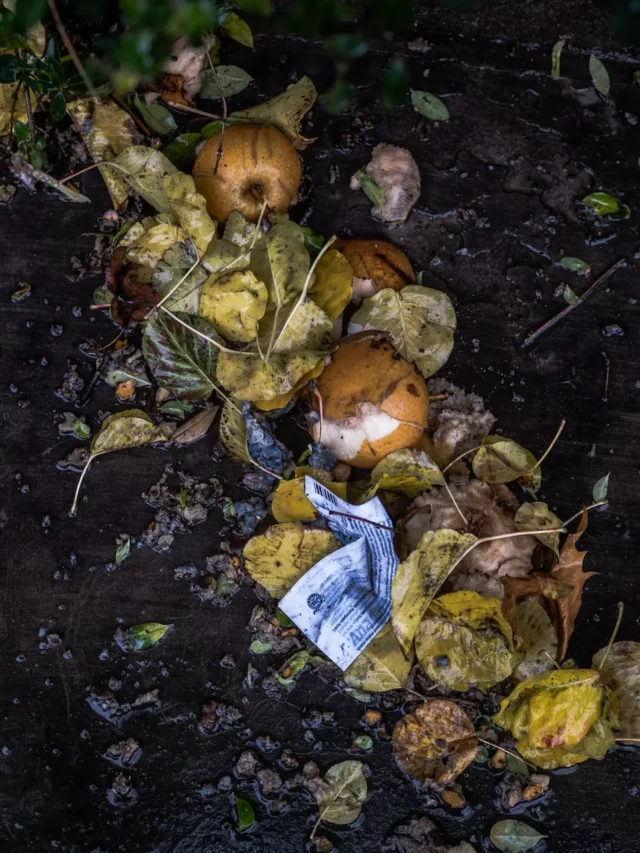 how-much-food-goes-uneaten-in-world