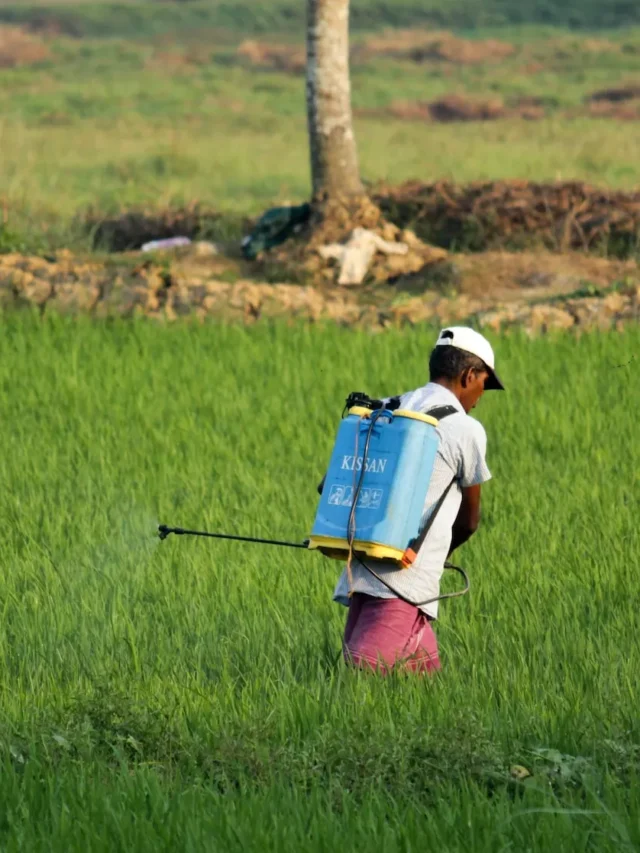 use-of-the-pesticide-monocrotophos-banned-by-the-government