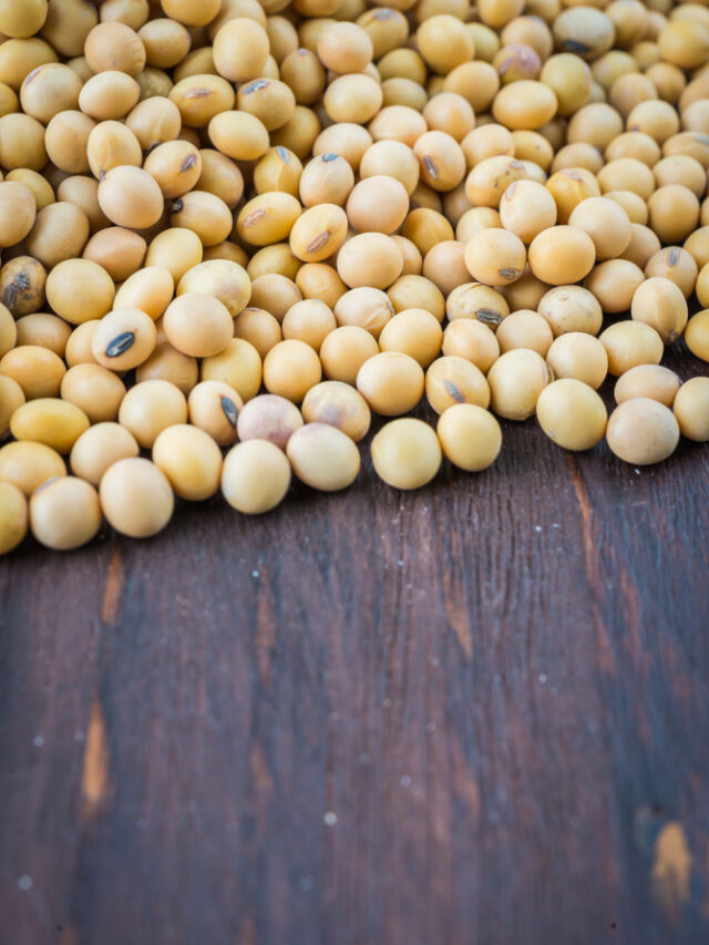 why-the-united-states-has-become-obsessed-with-soybeans