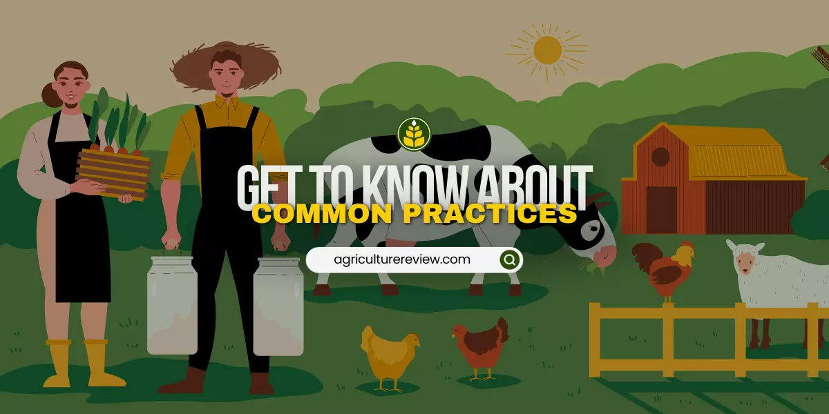 for-increasing-production-what-is-common-in-poultry-fisheries-and-beekeeping