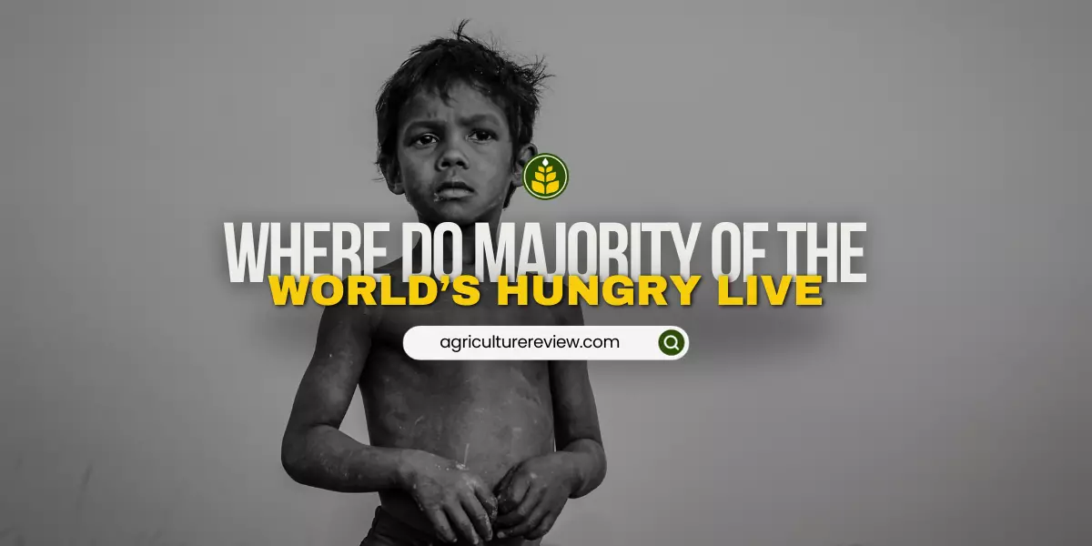 where-do-majority-of-the-worlds-hungry-live