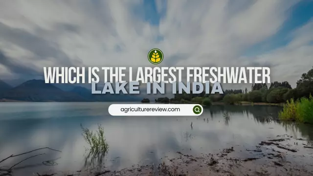 Which Is The Largest Freshwater Lake In India?