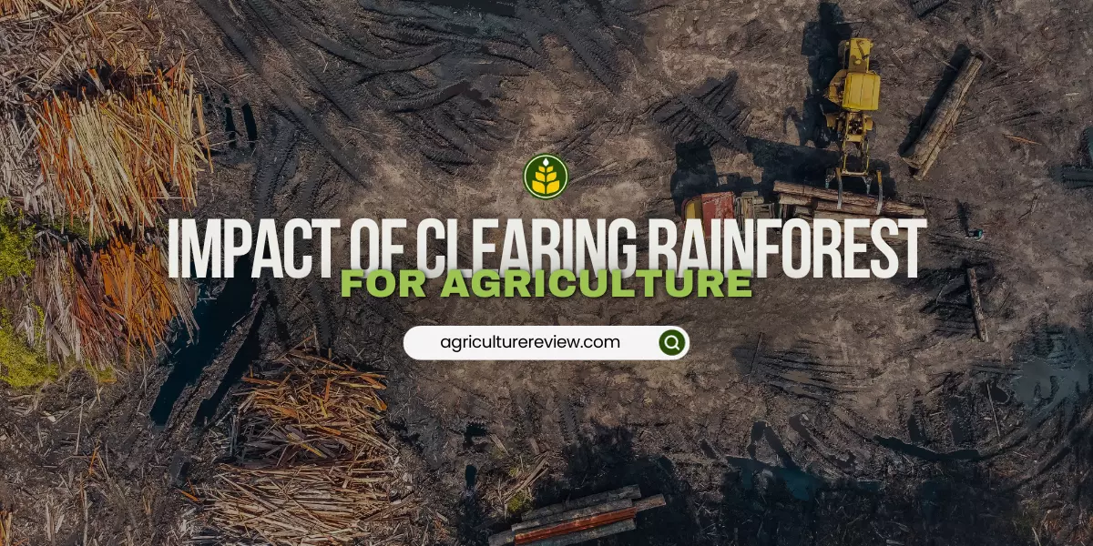 the-clearing-of-tropical-rain-forest-for-agriculture-frequently-results-in
