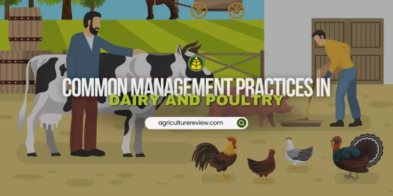 What management practices are common in dairy and poultry farming?