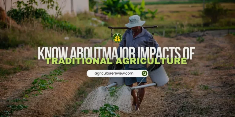 10 Impact Of Traditional Agriculture