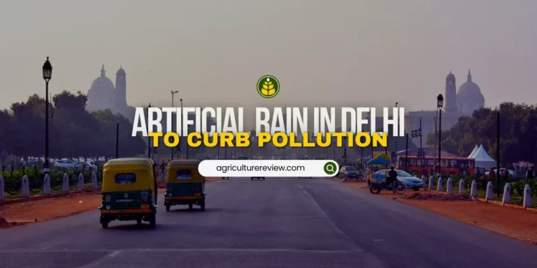 Government Is Hoping For Artificial Rain In Delhi To Curb Pollution