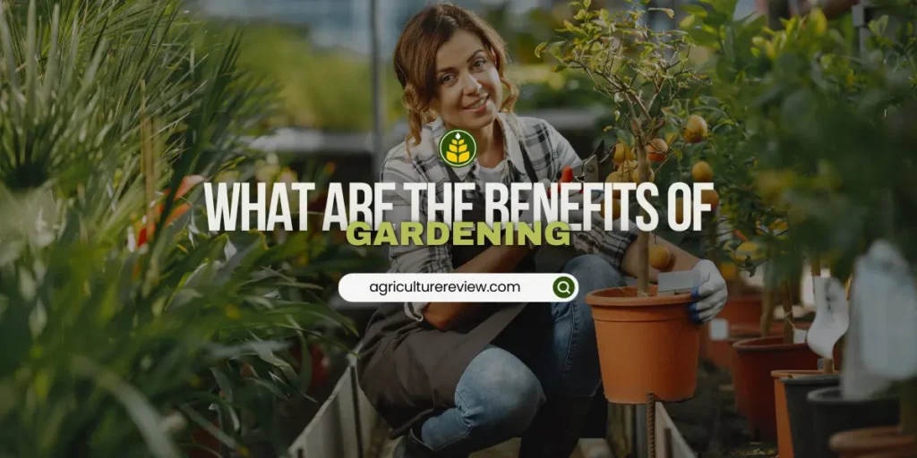 benefits-of-gardening