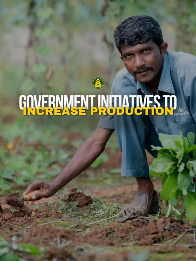 10-initiative-taken-by-the-government-to-increase-agricultural-production