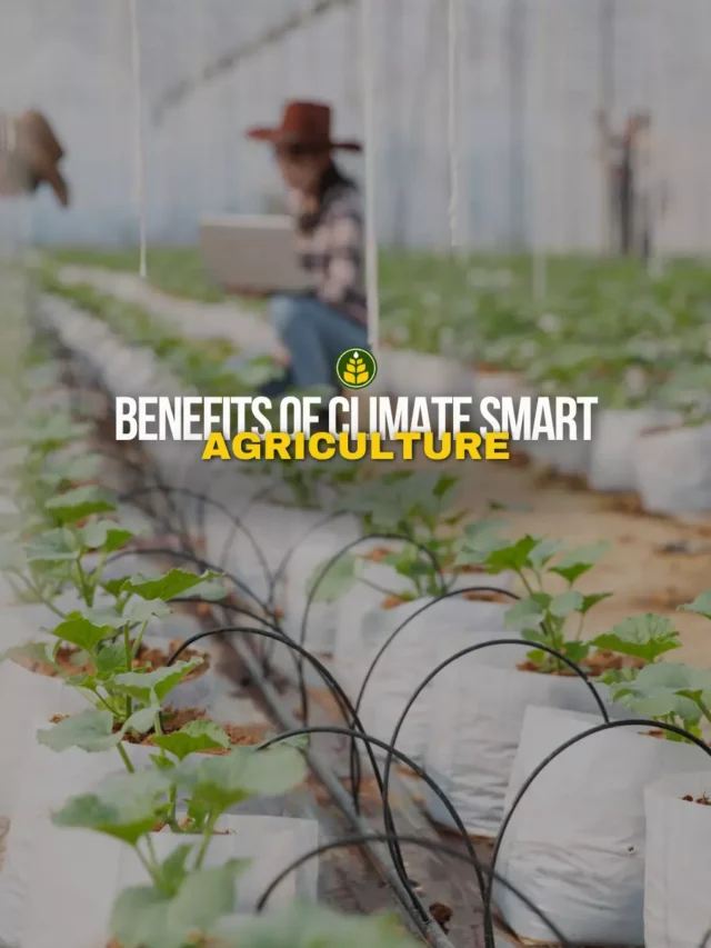 5-benefits-of-climate-smart-agriculture